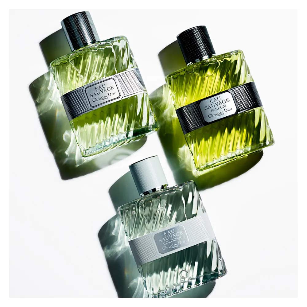 Amazon.co.jp: Christian Dior Dior Eau De Toilette Spray 100ml : Beauty