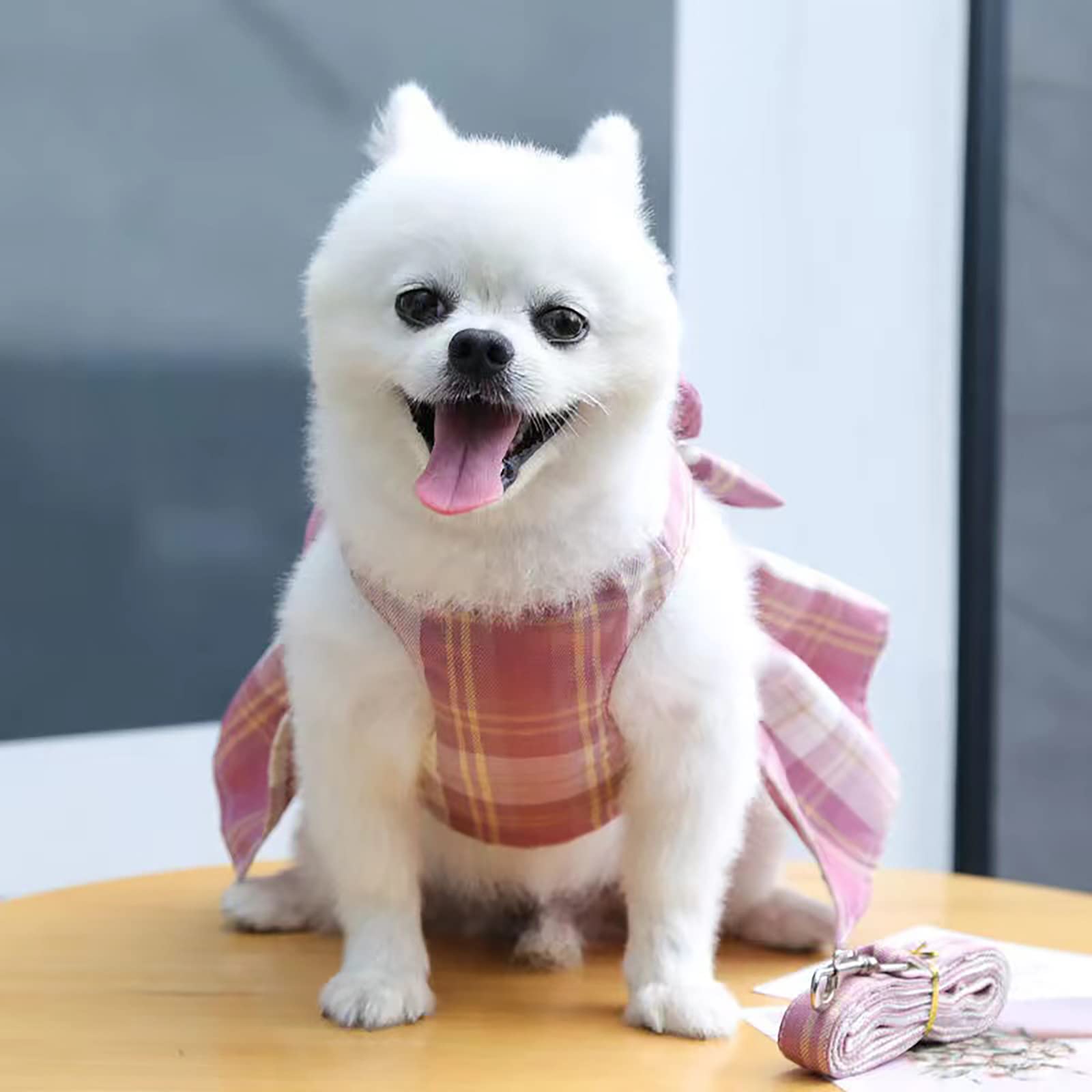 Dog Harness and Leash Set Pet Puppy Cat Dress Princess Lace