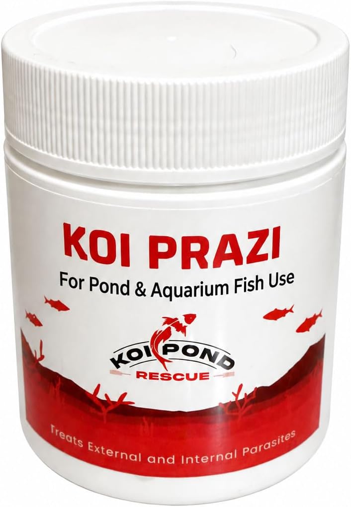 KOI PRAZI for Pond & Aquarium Fish (25 Grams)