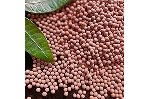 2 lb Ceramsite Horticultural Clay Pebbles for Plants