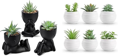 Der Rose Bundle of 3pcs Fake Succulents Plants and Set of 6 Succulents Plants for Home Room Bathroom Living Room Decor