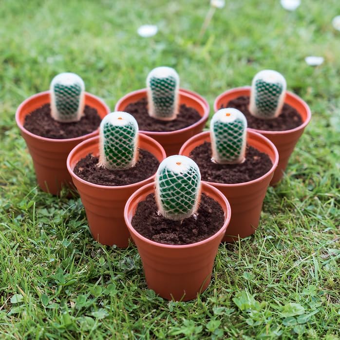 6 Blumentöpfe Mit Untersetzern – 12,7 Cm, Terrakotta-Optik, Aus Kunststoff, Mit Ablauflöchern, Für Drinnen & Draußen