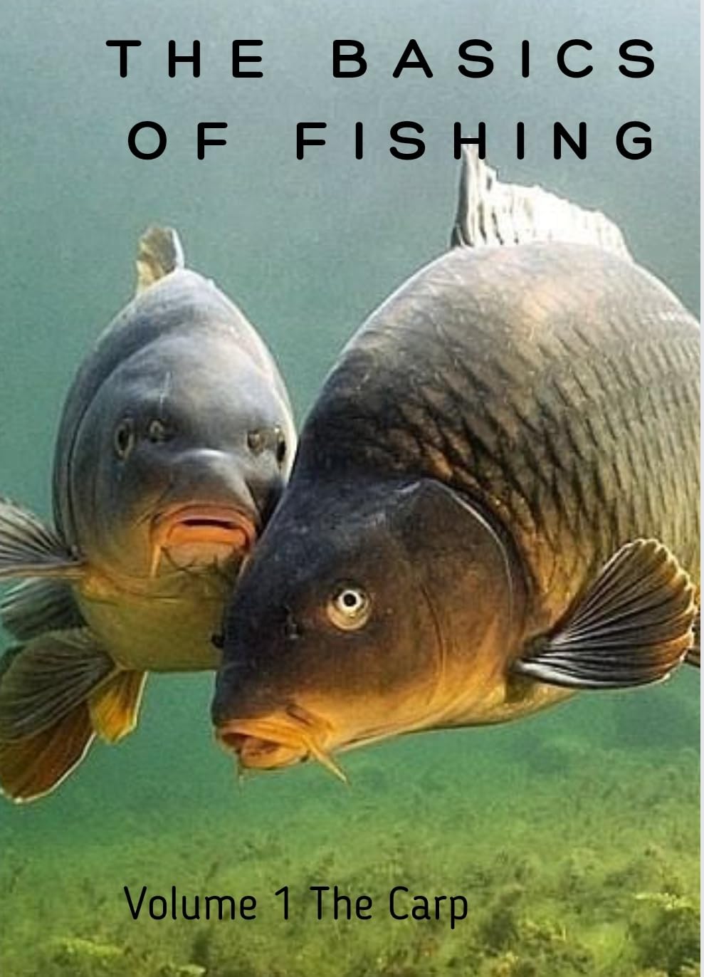The basics of fishing volume 1 The Carp eBook : Myburgh, Jean : Amazon ...