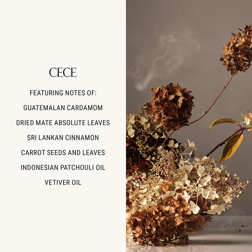 Image of Homecourt by Courteney Cox Room Deodorant, Natural Room Spray, Cece, 3.4 oz | Fine Fragrance of Cedarwood & Leather, For Kitchen, Bathroom & more, Clean Formula