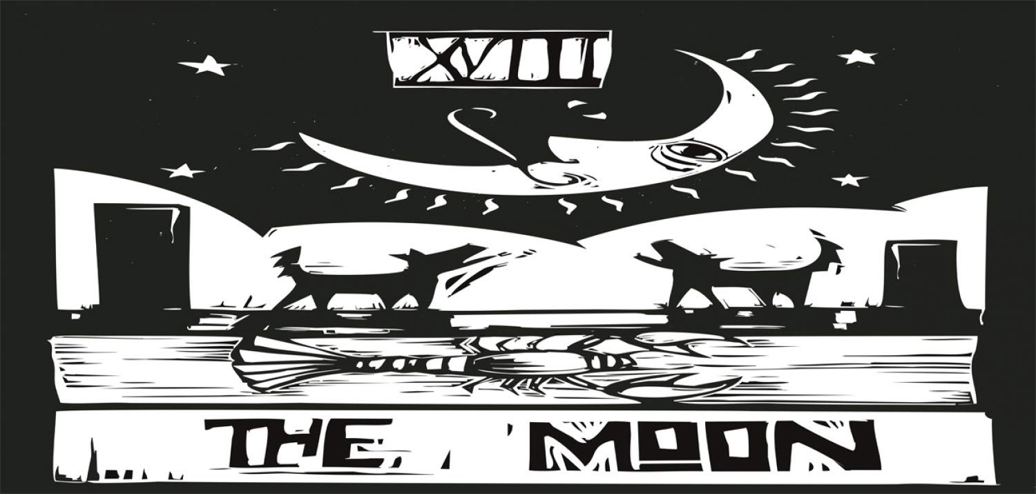 Amazon.co.jp: Moon Piggy Bank by Ambesonne、ブラックとホワイト図面スタイルロブスターWolves三日月星 タロットカードデザイン、印刷セラミックコイン銀行お金ボックスの保存の現金、ブラックホワイト : Toys & Games