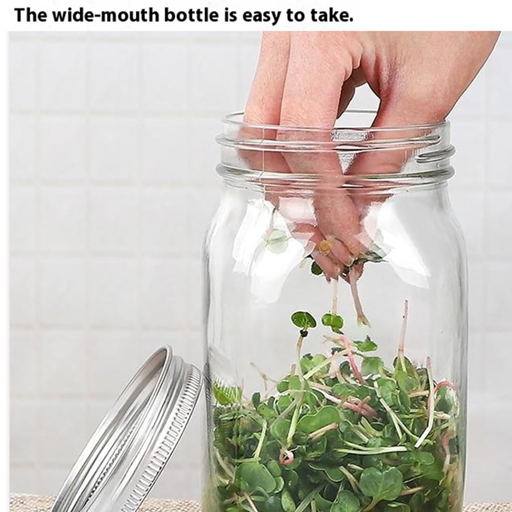 2 Supports pour bocaux en Verre de 1 000 ML, Outil de Germination, Filtre en Acier Inoxydable Blanc pour la Croissance des Plantes, accès pour aux