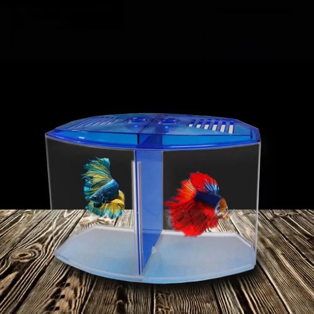 Double Betta Fish Tank, Transparent Office Fish Bowl, Plastic Clear Modern Goldfish Tank, Small Betta Fish Bowl, Simple Style Betta Fish Aquarium, Can Place Two Betta Fish