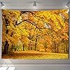 Wandtapijt Landschap Schilderij Wandtapijten Muur Opknoping Abstract Olieverfschilderij Herfst Landschap Schilderij…