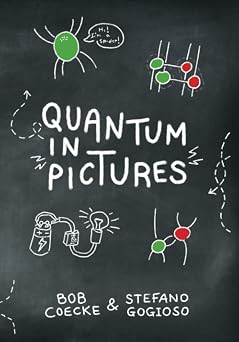 Quantum in Pictures A New Way to Understand the Quantum World