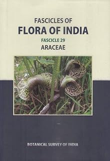 Fascicles of Flora of India: Fascicle 29: Araceae