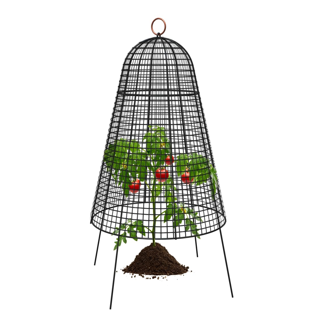 Panacea Bell Cloche Plant Protection Metal Mesh Structure Black