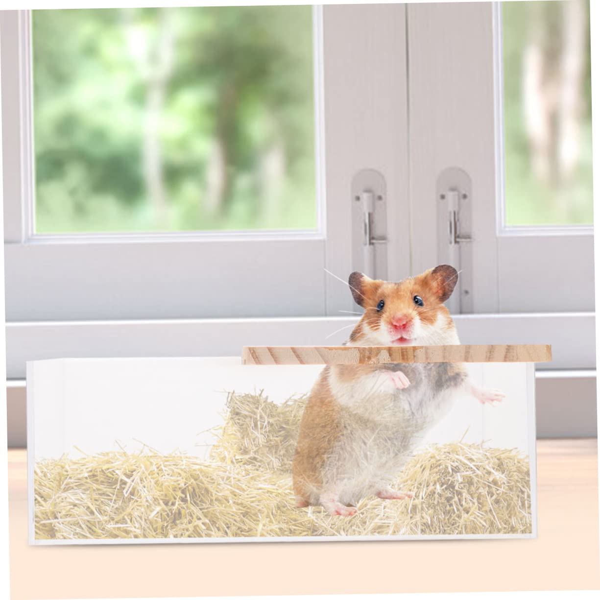 IMIKEYA Transparente Chinchilla Badewannen aus Acryl und Holz 2 Stück Leicht und Sicher für Empfindliche Kleintiere zum Baden und Spielen zu Hause