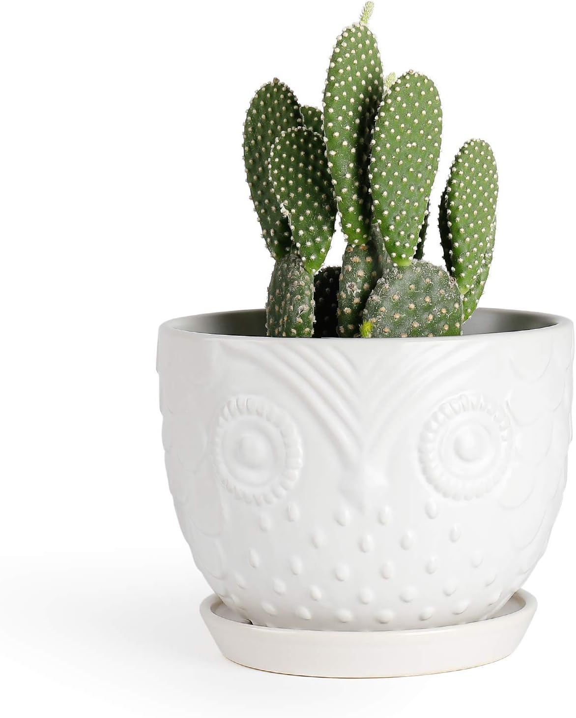 Greenaholics White Owl Plant Pot - 6.1 Inch Ceramic Succulents Planter Indoor Large Owls Flower Pots with Attached Saucer for Cactus or Snake Plant Decorative Gifts