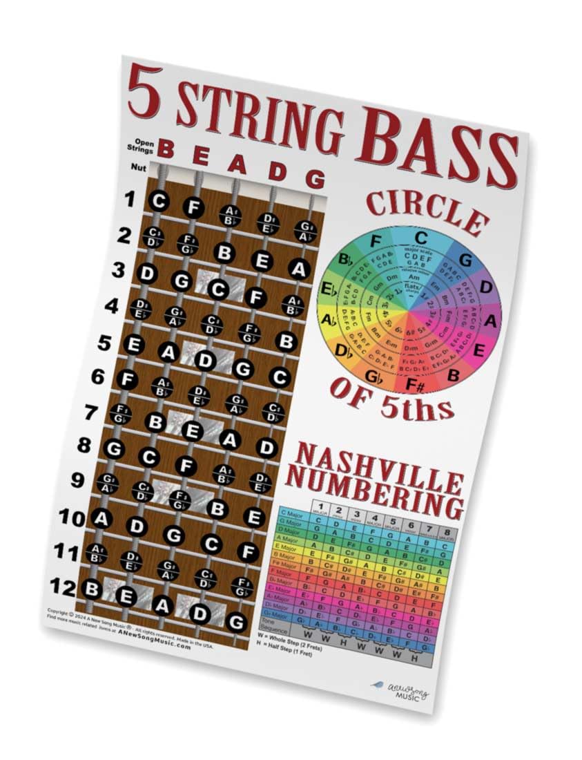5 String Bass Fretboard Poster - Nashville Numbering System, Circle of 5ths, Notes Instructional Chart | A New Song Music | 11x17