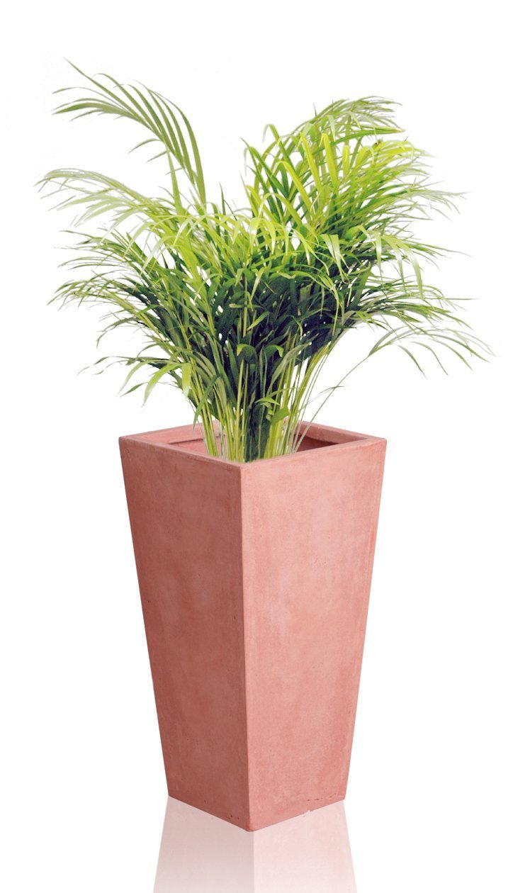 Primrose Pack of 2 Medium Garden Outdoor Fibrecotta Terracotta Tall Flared Square Planter H51cm x W24cm x D24cm (20in x 9.5in x 9,5in)