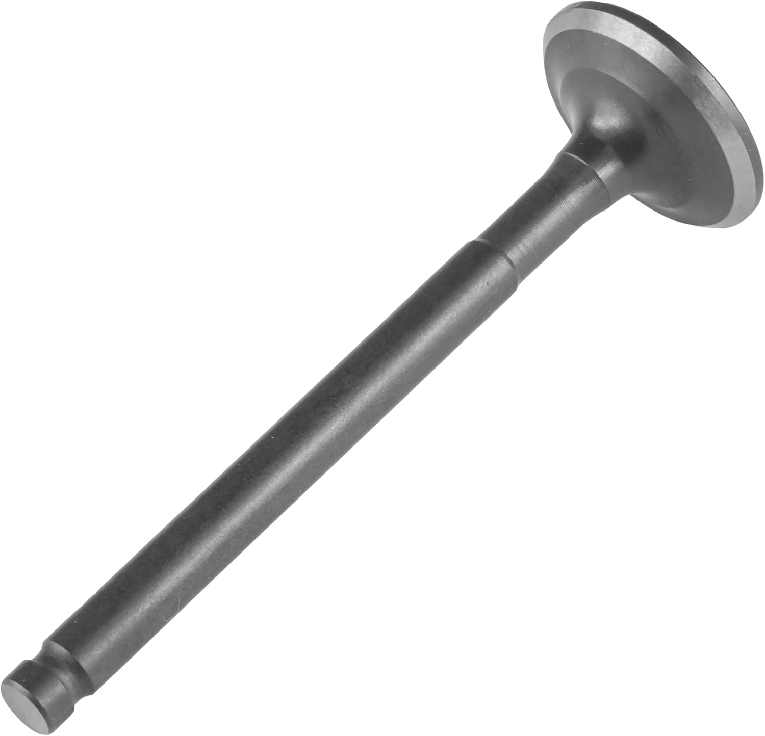 Caltric Exhaust Valve Compatible with Honda Crf70F 2004 2005 2006 2007 2008 2009 2011 2012