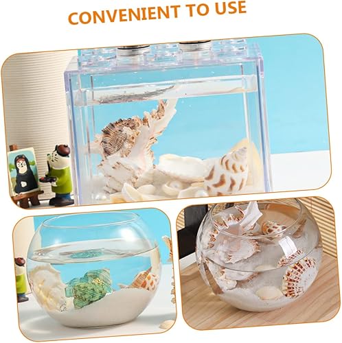 Miniatura 4 de Garneck 4 juegos de conchas marinas paisajismo de varios tamaños conchas marinas, floreros decorativos de conchas marinas artesanales, decoración de