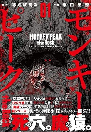 Amazon.co.jp: モンキーピーク (10) (ニチブンコミックス) : 志名坂 高