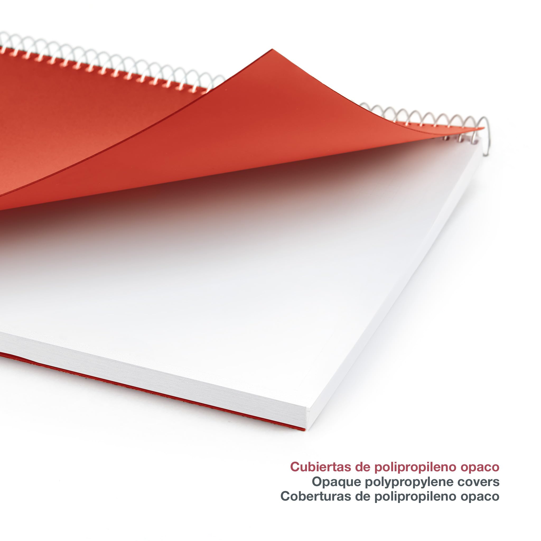 Miquelrius, 2025 Diary, Yearly Diary 80 x 120 mm, Day Page, Flexible Polypropylene Cover, Spiral, Paper 80 g/m², Spanish - Image 4