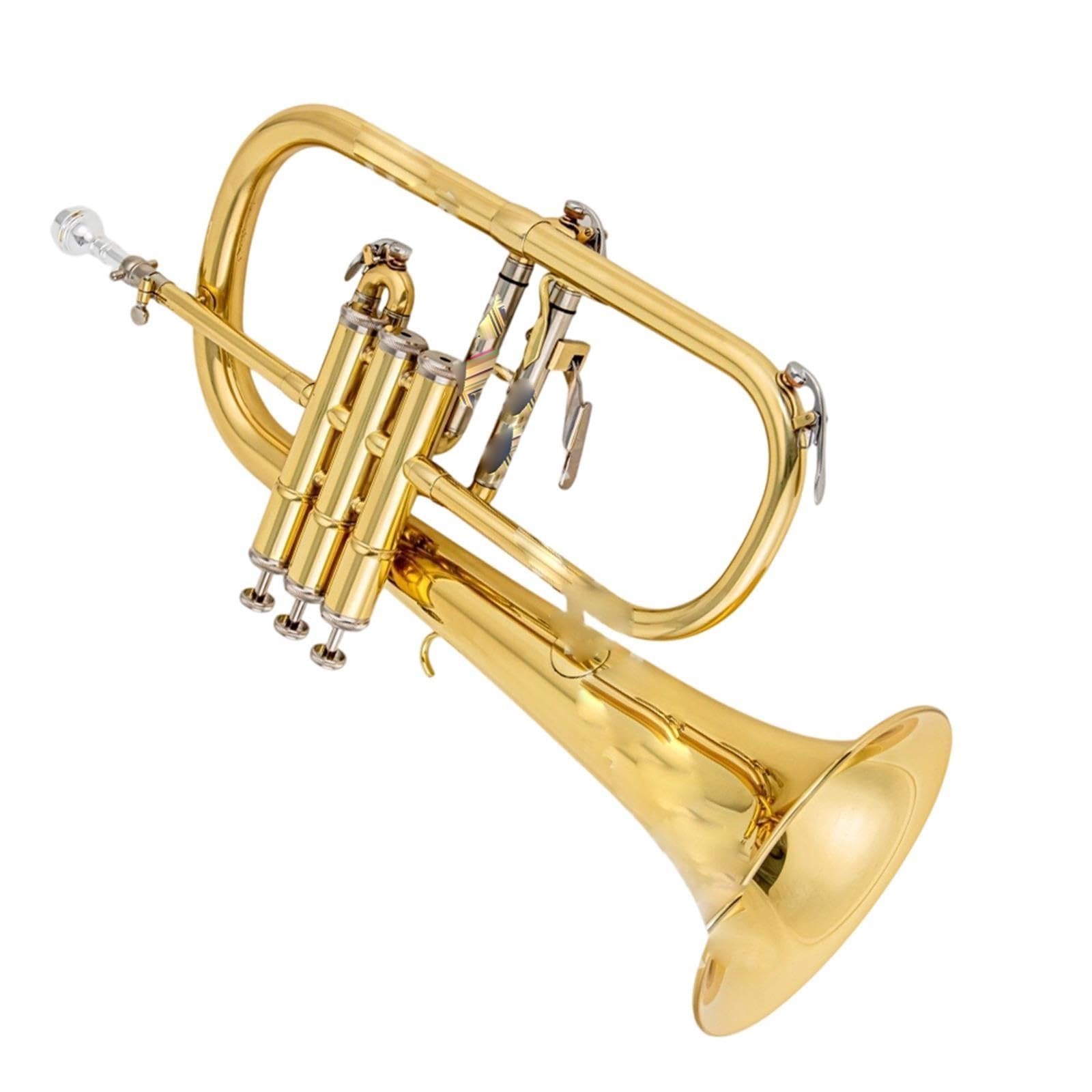 Standard Trumpet Trąbka Bb dla początkujących