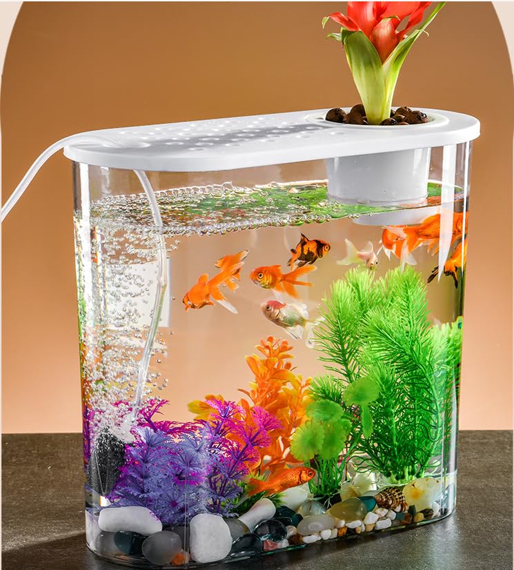 Amazon | 水耕風景 小型水槽 水槽 水族館 繁殖水族館 プラスチック
