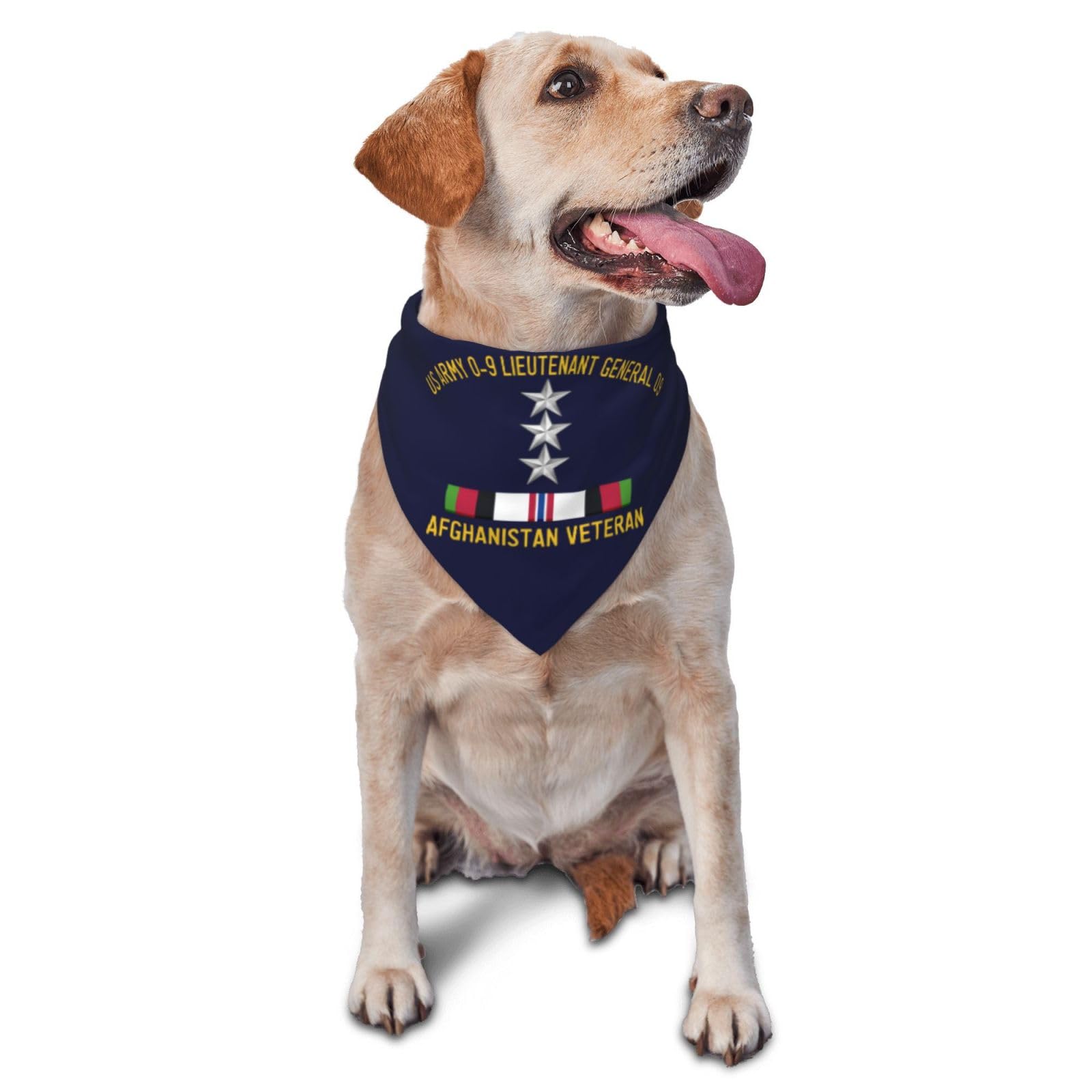US Army O-9 Lieutenant General O9 Afghanistan Veteran Dog Scarf Pet Bandana Cat Pet Bibs