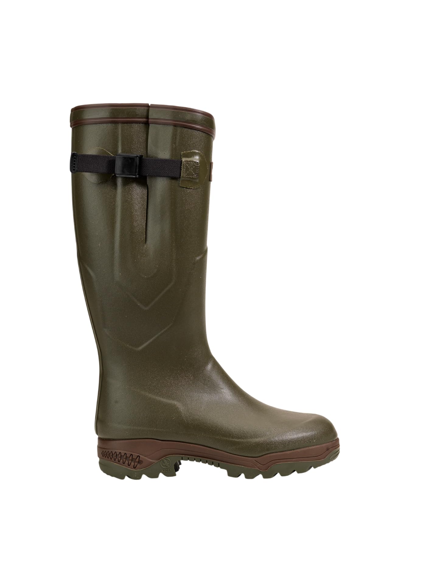 Aigle