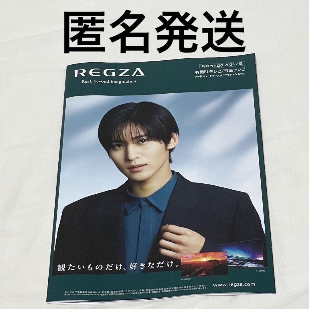 Amazon.co.jp: REGZA レグザ パンフレット カタログ 目黒蓮 8 : おもちゃ