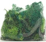FALLER 170729 - Islandmoos, grün, sortiert