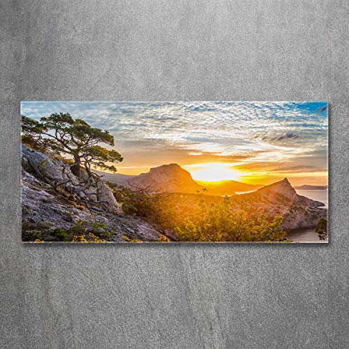 Tableau plexiglas Amarillo 120x60cm de format panoramique décoratif - 3