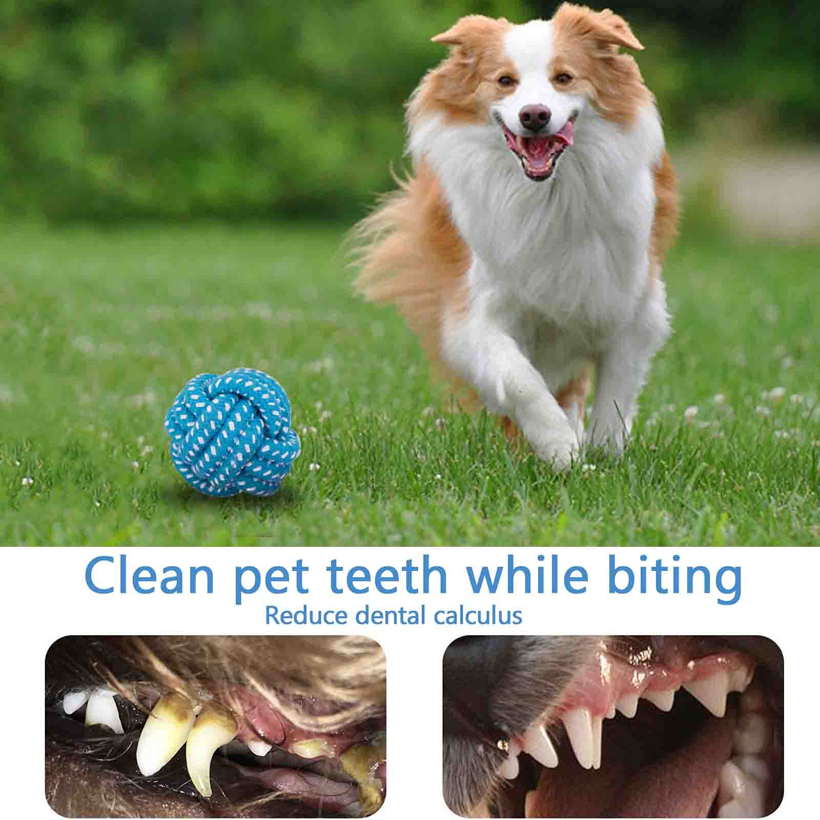 AMAYGA Set Giocattoli per Cani, 17 Pezzi, Corda, Resistenti Grandi, per Cucciolo