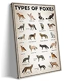 Fox Wall Art Canvas Framed Vintage Fox Knowledge Poster Animal Painting Pictures Types of foxes Educ