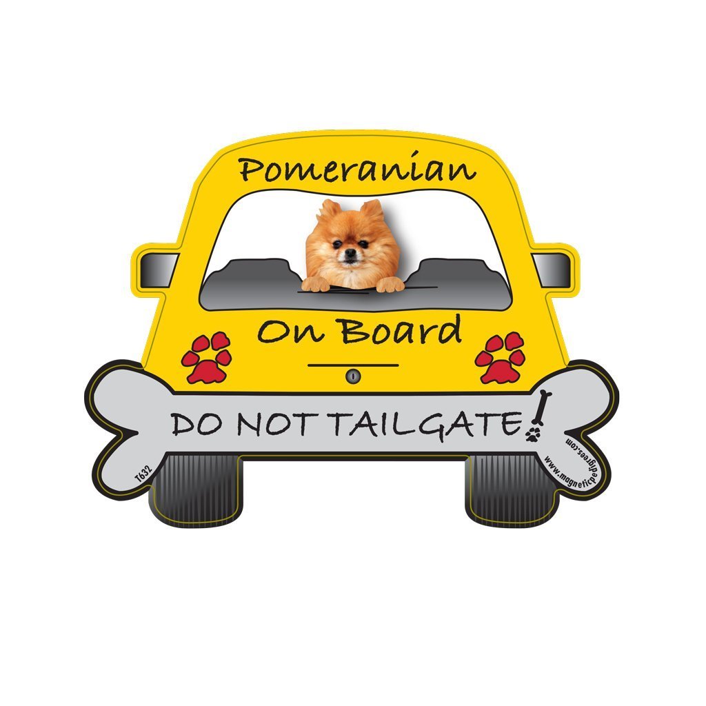 Pomeranian : Pomeranian Tailgate Custom Shaped Magnet