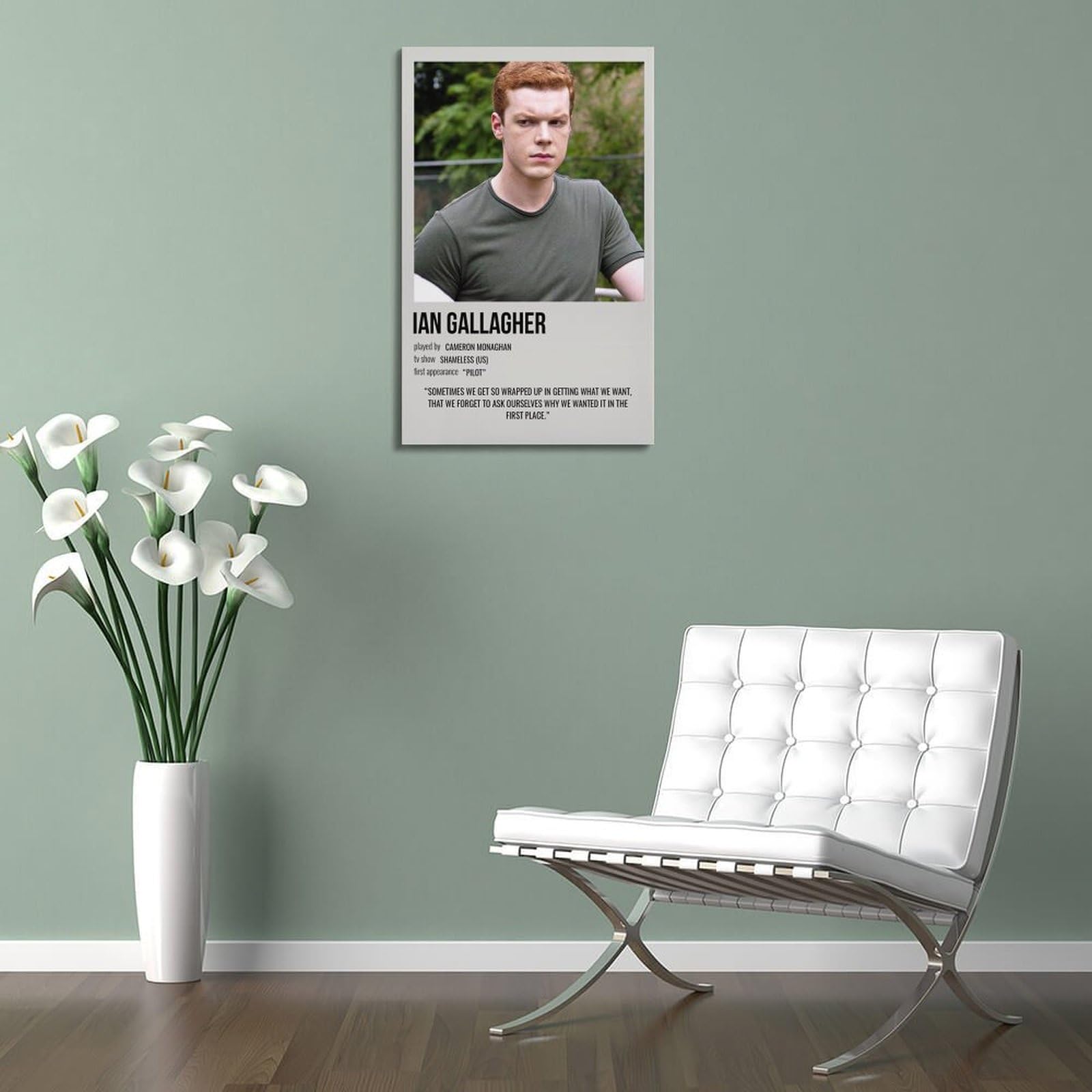 Poster Su Tela Shameless TV Serie - 50x75 Cm - Stampa Artistica Per Soggiorno E Camera Da Letto - Senza Cornice