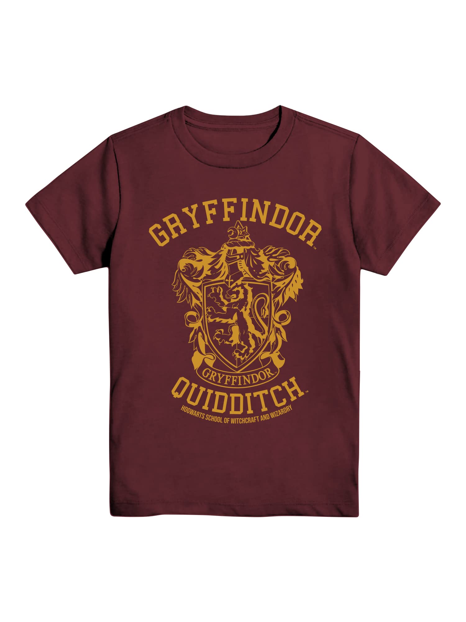 Harry Potter Gryffindor Slytherin Ravenclaw Hufflepuff Quidditch Team Boys Youth T-Shirt