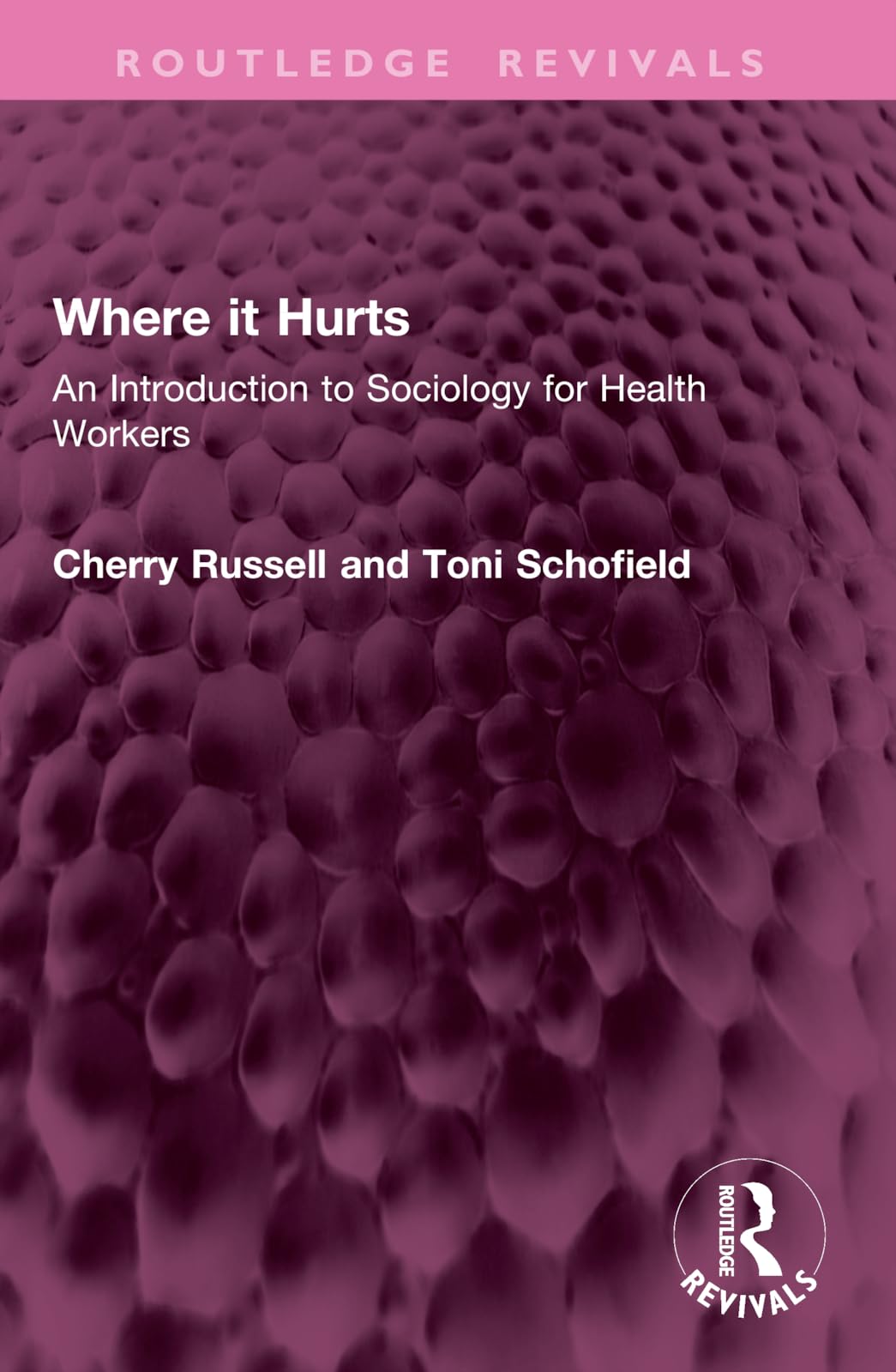 Where it Hurts: An Introduction to Sociology for Health Workers (Routledge Revivals)