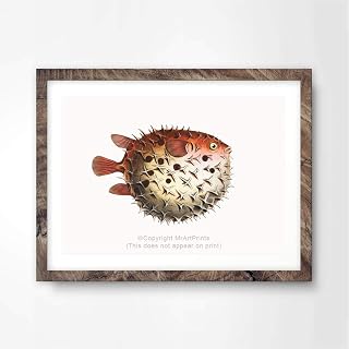 PUFFER FISH SEALIFE SEASIDE SEA CREATURE ILLUSTRATION PAINTING DRAWING ART PRINT Poster Home Decor Interior Design Wall Picture A4 A3 A2 (10 Size Options)