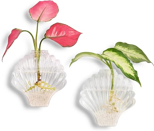 Miniatura 12 de Kingbuy Octagon Wall-Mounted Propagation Vase - 2 Pack Clear Glass Planters for Hydroponic Plants & Flowers, Indoor Wall Plant Holder, Unique Home