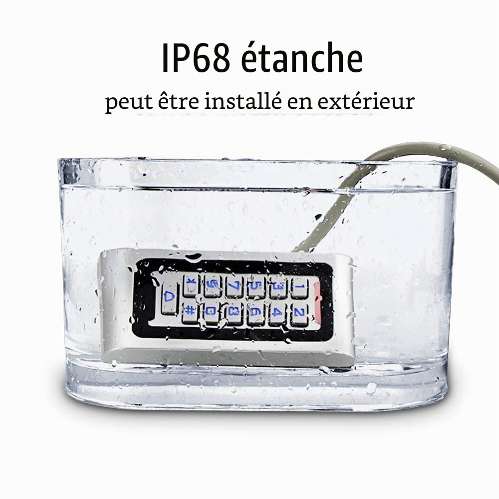 NN99 Kit de système de contrôle d'accès de Porte RFID IP68 Clavier étanche Clavier avec verrou de gâche électrique + Alimentation DC12V 3A + 10 pcs Puce clés
