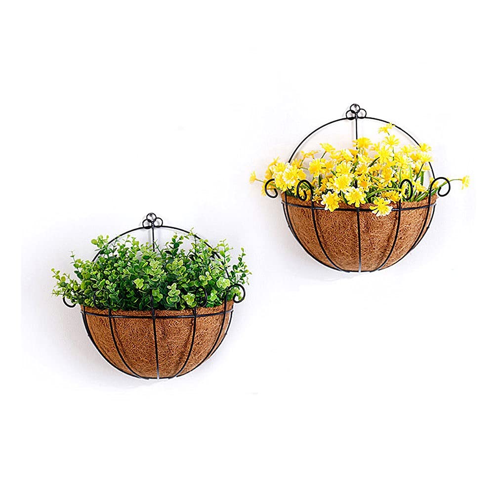 Fioriera da Appendere 2pcs Metal Hanging Planter Pandiera Piantatrice a muro a mezza rotonda con fioriera a parete con cocco Coir Liner Planter Decorazione gancio per il portico da giardino Balcone e