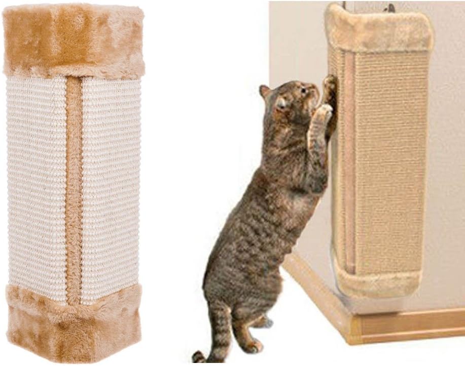 cat scratching corner of wall