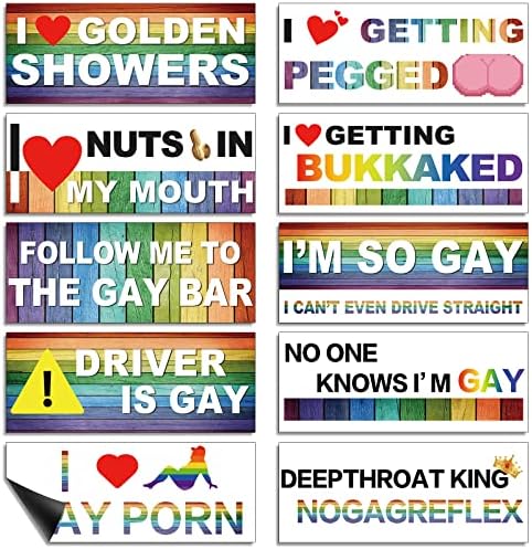 Frienda 10 Pcs Bumper Decals Funny LGBT Stickers R