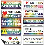 Frienda 10 Pcs Bumper Decals Funny LGBT Stickers R