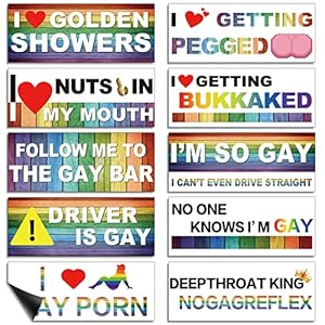 Frienda 10 Pcs Bumper Decals Funny LGBT Stickers R