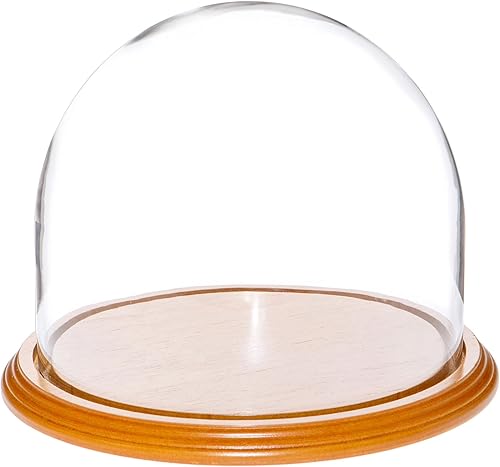 Miniatura 5 de Plymor Cúpula de cristal de 8" x 6.5" (sin base)