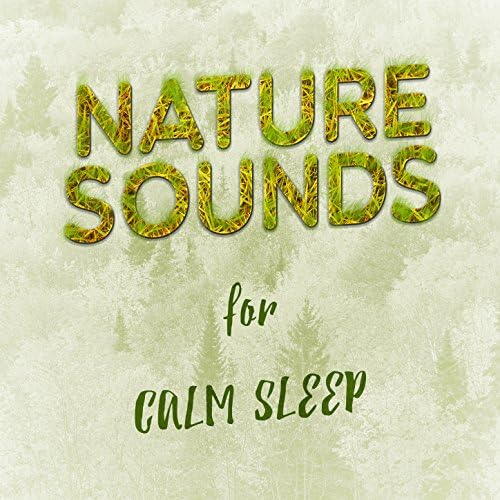 Nature Sounds for Calm Sleep Healing Sounds for Deep