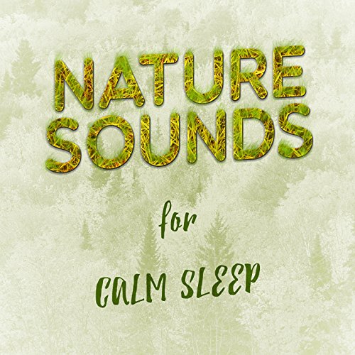 Amazon.com: Nature Sounds for Calm Sleep : Healing Sounds for Deep ...