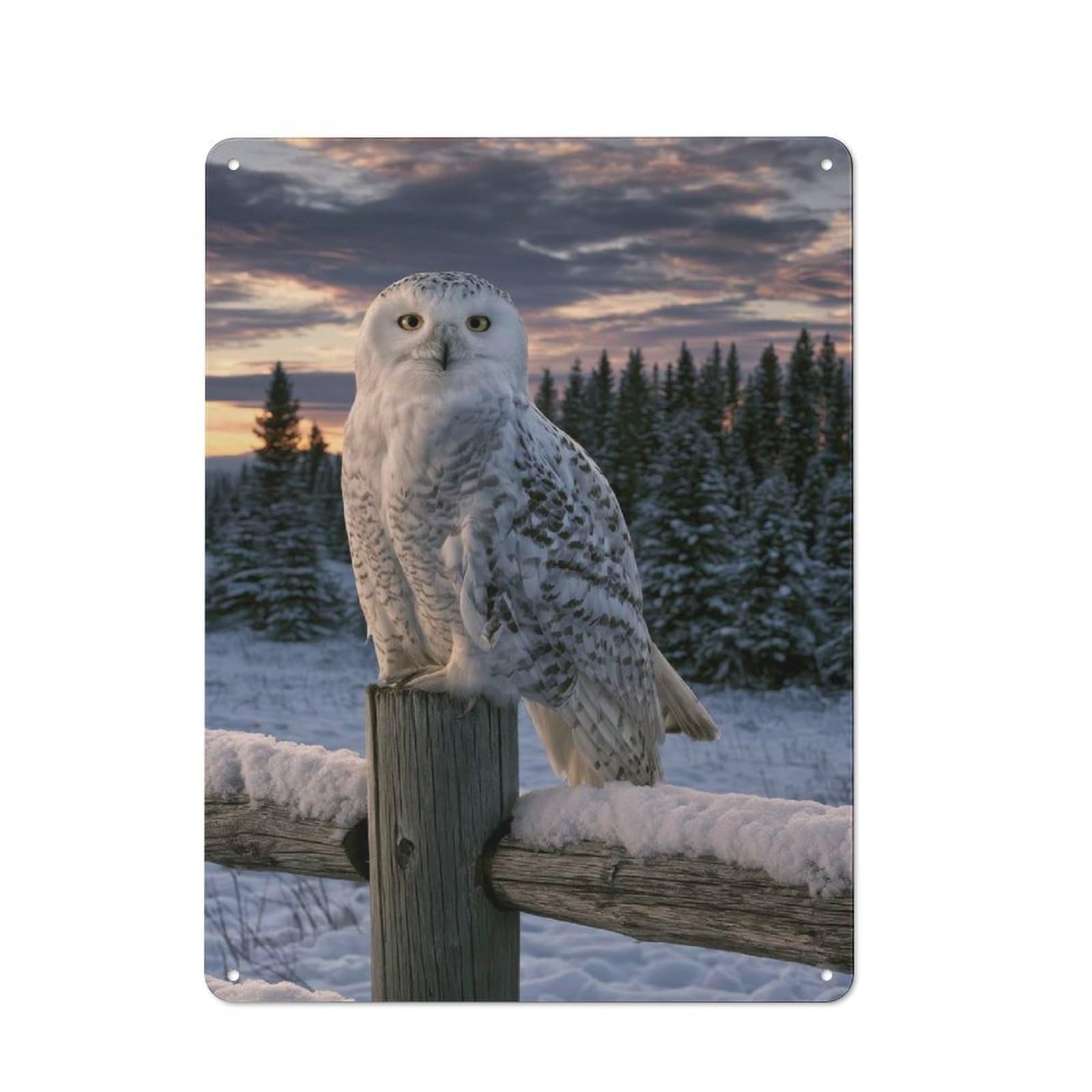 Metal Sign 40x30cm with Snowy Owl on A Fence Post for Pub Or Café, Vintage Decor, for Metal Sign Collectors, for Garage And Workshop Walls