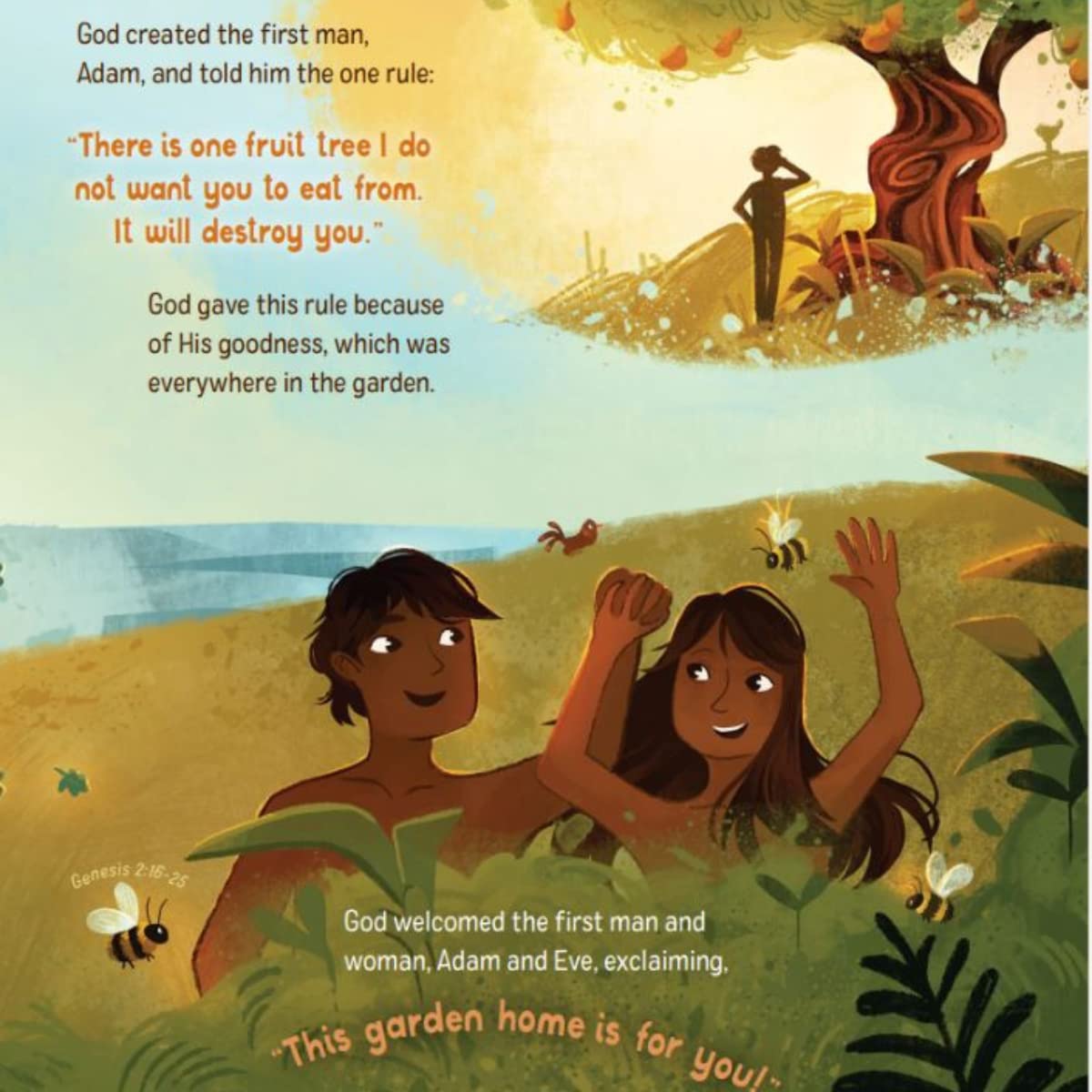 The Story of Home: God at Work in the Bible's Tales of Home - Image 5