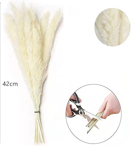 Miniatura 2 de 30 flores secas de junco, ramo de flores secas de hierba de las pampas, ramo de flores secas de ramas artificiales de pluma, 17 pulgadas, decoración